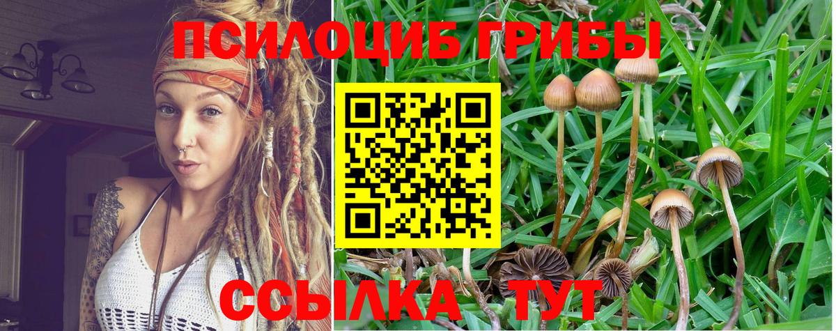 Галлюциногенные грибы мицелий Сибай