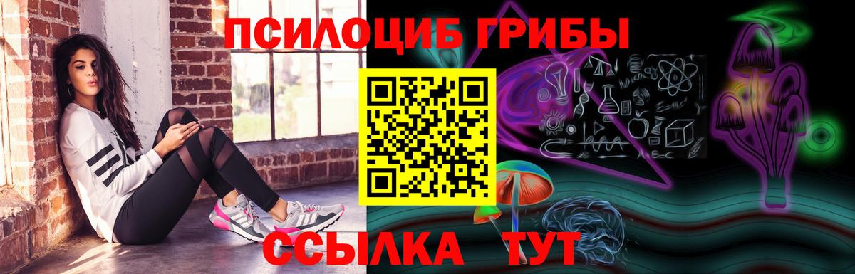 Сибай  Галлюциногенные грибы ЛСД  Вход с VPN 